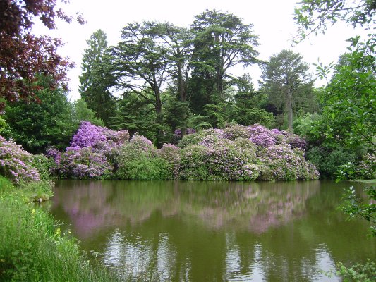 13_Jezírko v arboretu