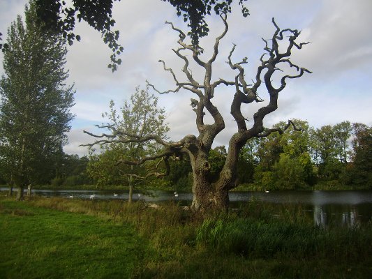06_Labutí jezero
