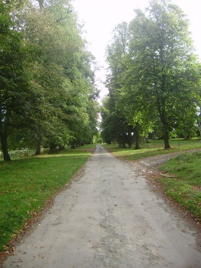 11_Příjezdová cesta