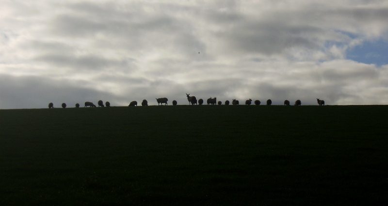01_Ovčí Stonehedge