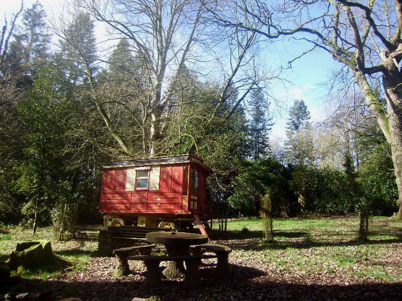Gipsy neboli cikánský karavan