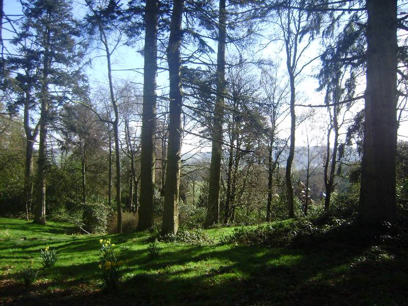 údolíčko u Gipsy karavanu