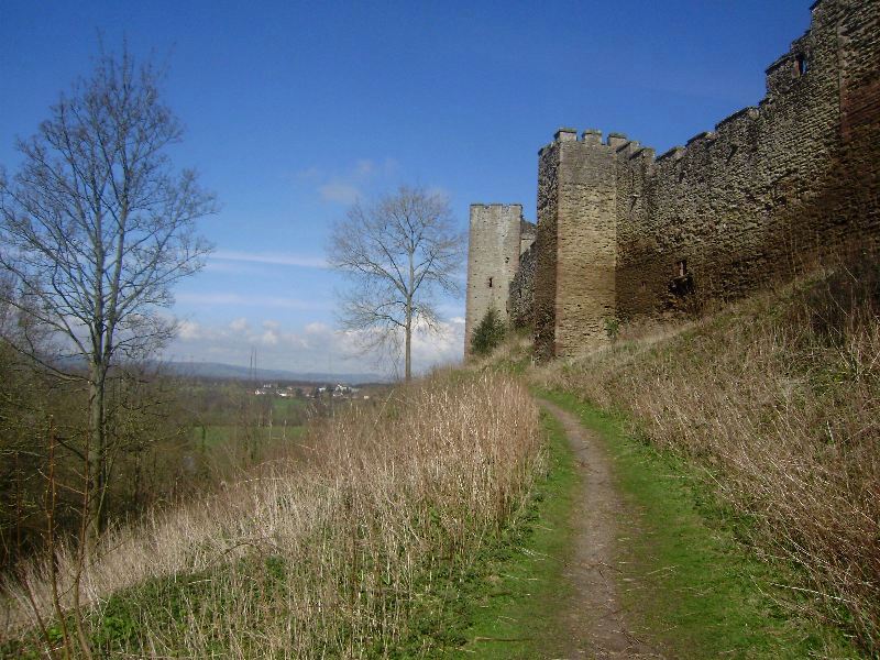 P3140333