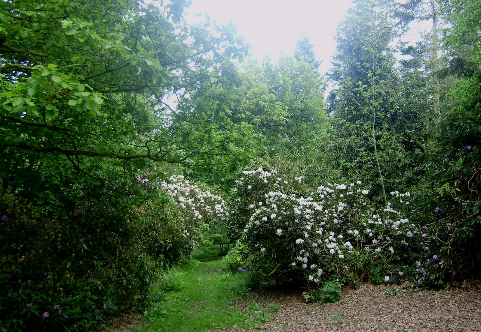 P4260440