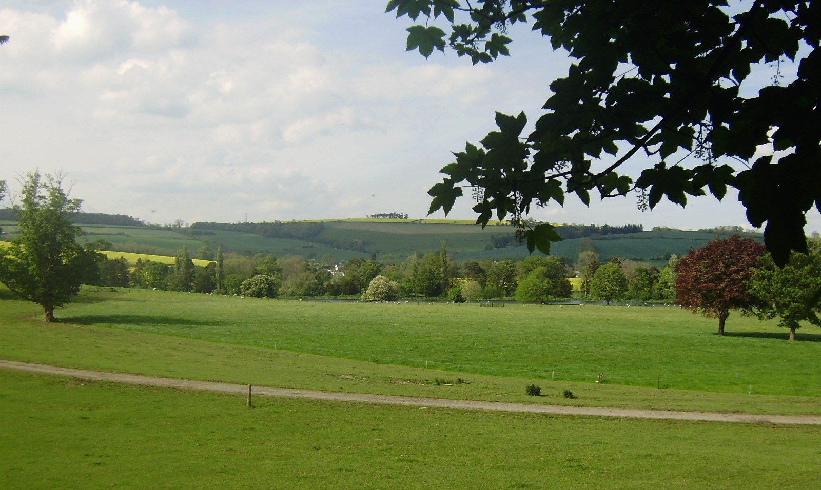 Zpátky pod Walcotem