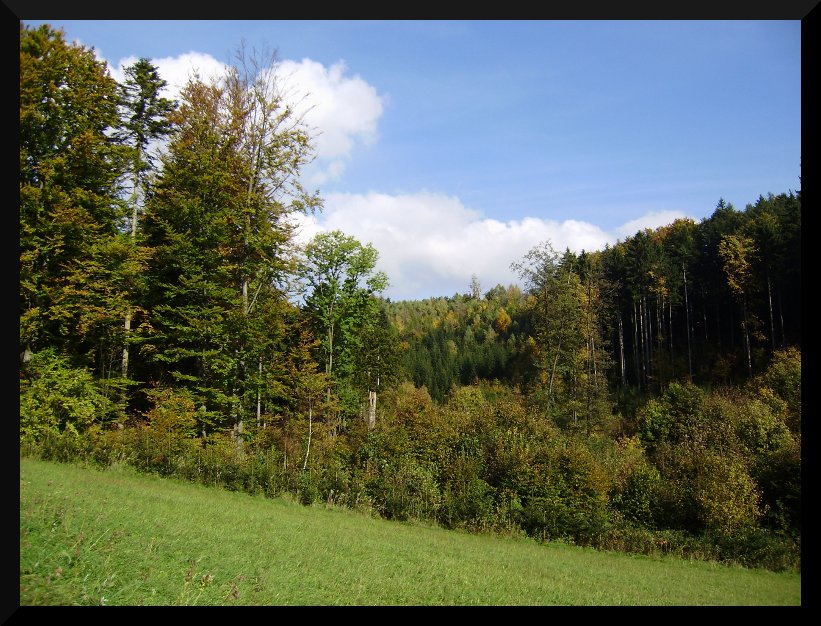 PA060015