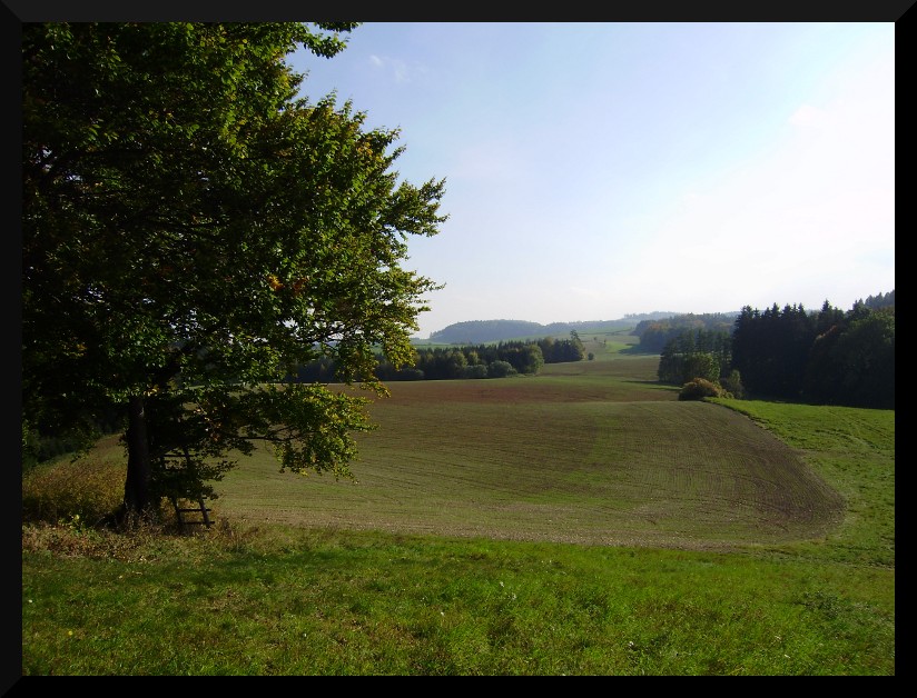 PA060025
